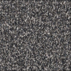 Shaw Flooring Pet Perfect Artistic Fusion I Collection