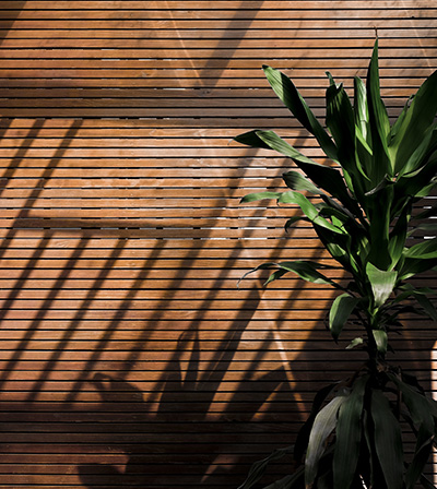 Wood Blinds